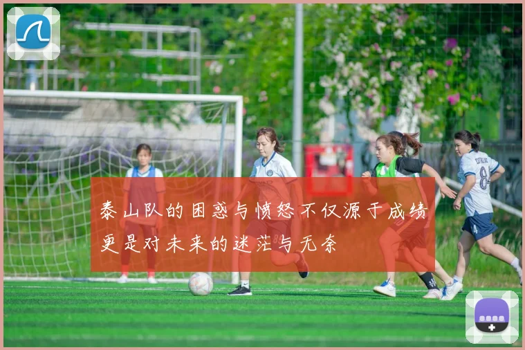泰山队的困惑与愤怒不仅源于成绩更是对未来的迷茫与无奈